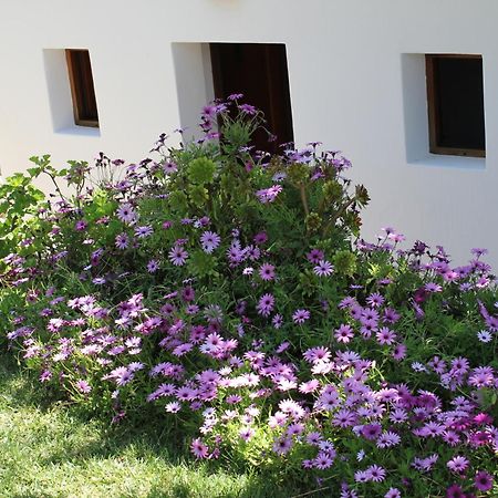Agroturismo Can Fuster Sant Joan De Labritja Exterior photo