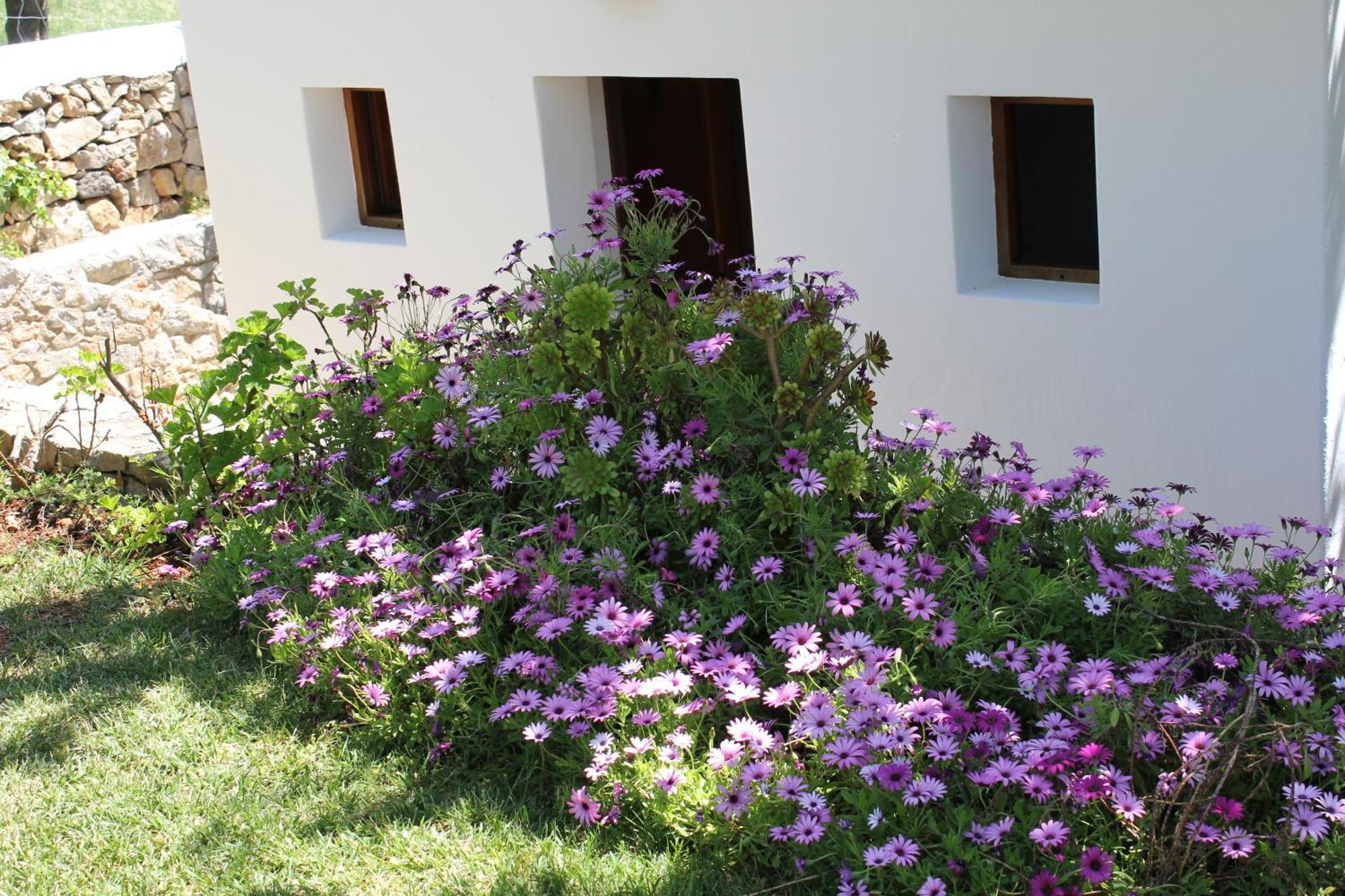 Agroturismo Can Fuster Sant Joan De Labritja Exterior photo